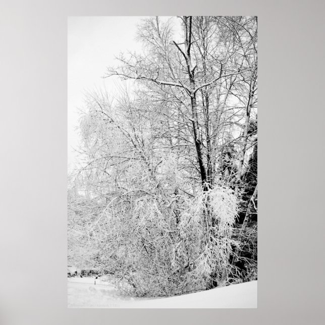 Impression des blancs d'hiver (Devant)