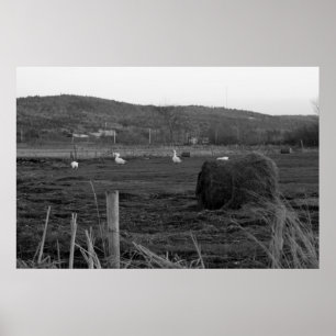 Impression des jours de foin