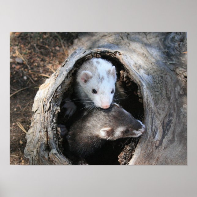 Impression des pales (Devant)