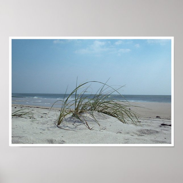 Impression d'herbe de plage (Devant)