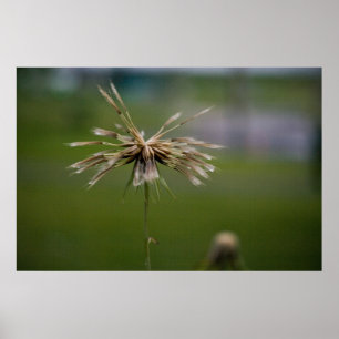 Impression différée