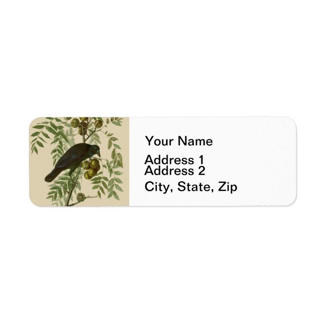 Impression d'oiseau Grackle violet d'Audubon Botan (Devant)