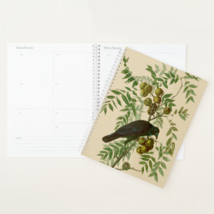 Impression d'oiseau Grackle violet d'Audubon Botan
