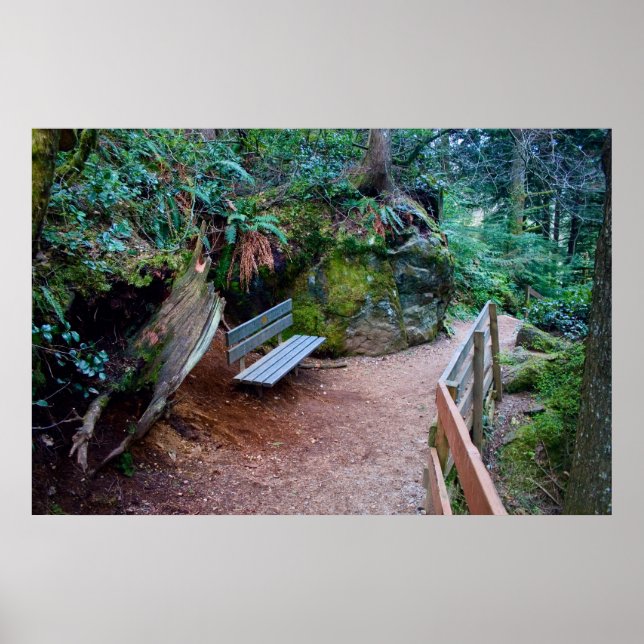 Impression du banc de chemin de forêt (Devant)