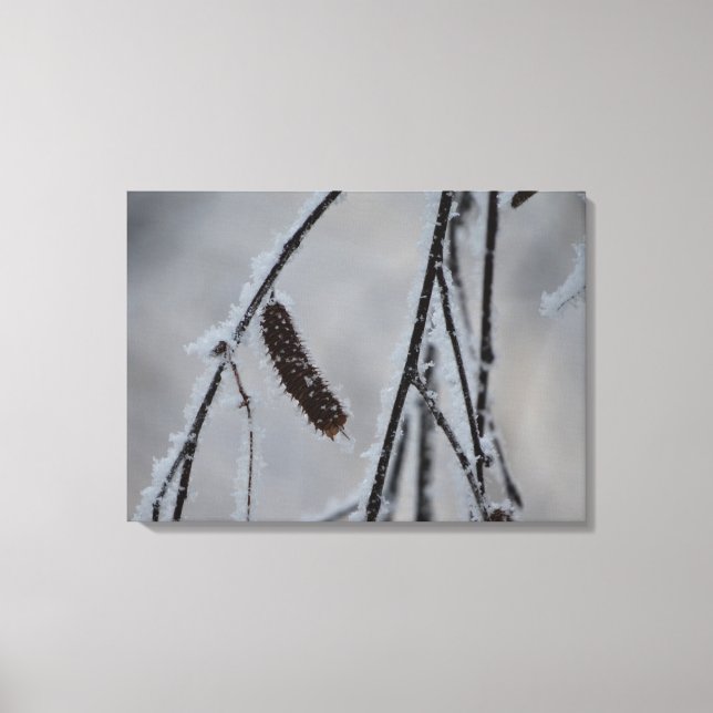 Impression du canevas photo hiver (Recto)