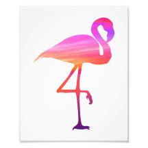 Impression du coucher de soleil Flamant rose