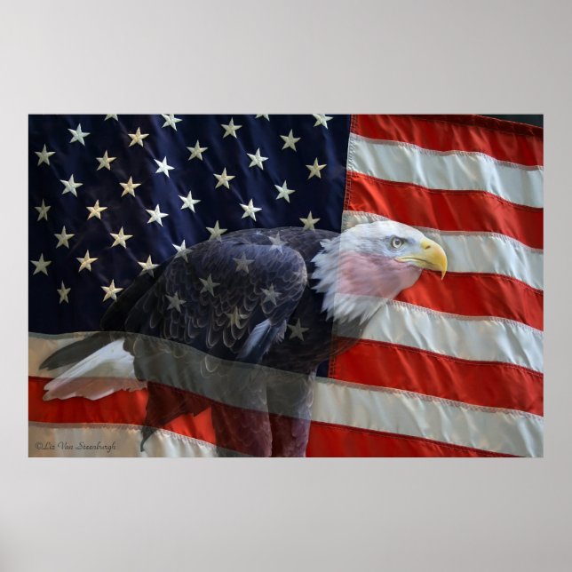 Impression du drapeau américain Eagle (Devant)