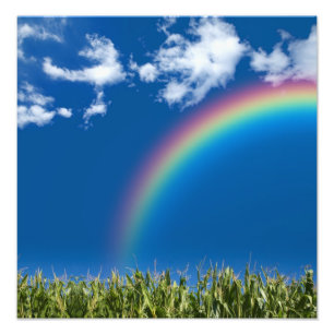 Impression du mur Rainbow été