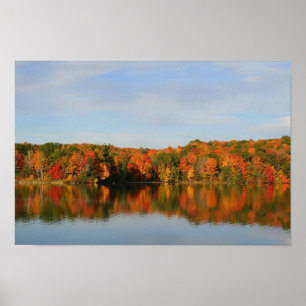 Impression du portefeuille de Bradford Lake