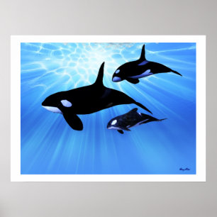 IMPRESSION ECHO LUMINEUSE