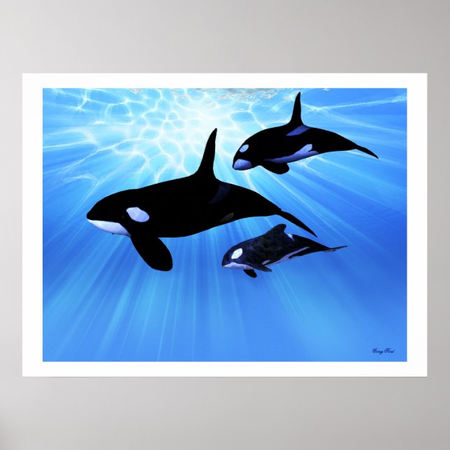 IMPRESSION ECHO LUMINEUSE (Devant)