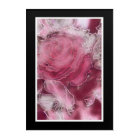 Un rose est un rose…. sur le panneau acrylique