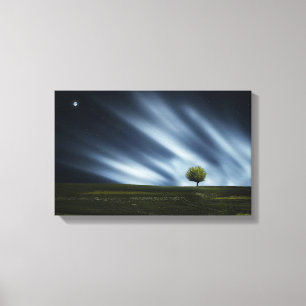 Impression en toile étirée - Arbre de l'étoile pay