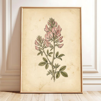 Impression encadrée d'art mural floral vintage