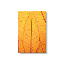 Impression feuille