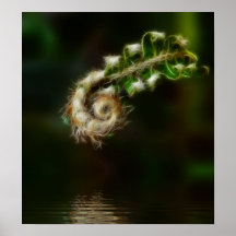 Impression Fiddlehead Fern