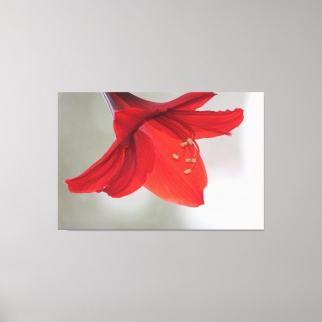 Impression florale classique (Recto)