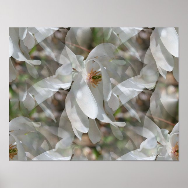 Impression florale Magnolia Blanc Carrelé (Devant)