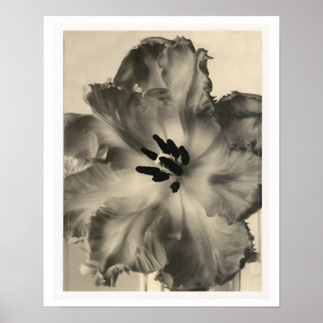 Impression florale noire et blanche (Devant)