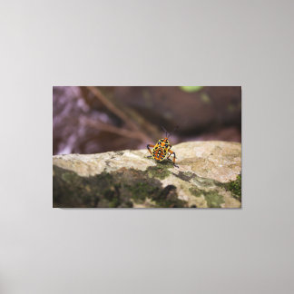 Impression in Screen, Insect Canvas Print