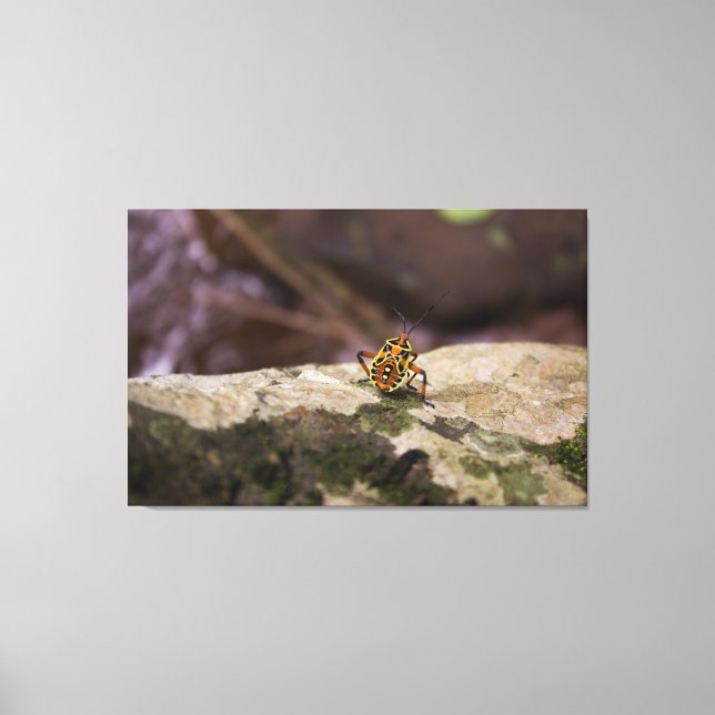 Impression in Screen, Insect Canvas Print (Front)
