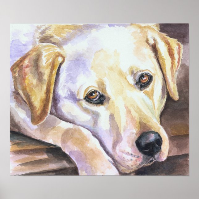 Impression Labrador Retriever (Devant)