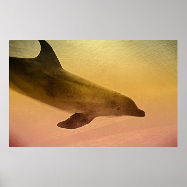 Impression lazy après-midi (Devant)