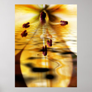 Impression Lillium d'eau