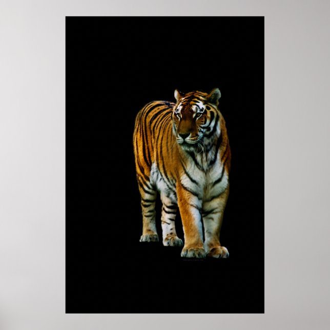 Impression Lin Hu (Devant)