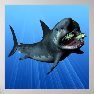 Impression Megalodon