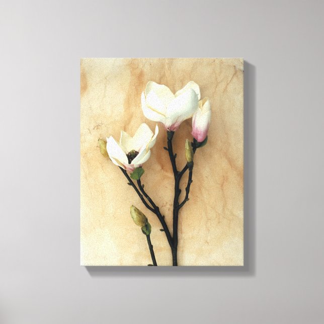 Impression murale d'art floral Magnolia (Recto)