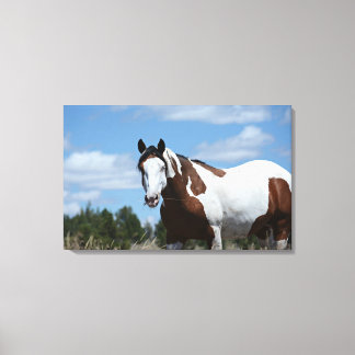 Impression Mustang Custom Canvas (30,18 po x 19,12