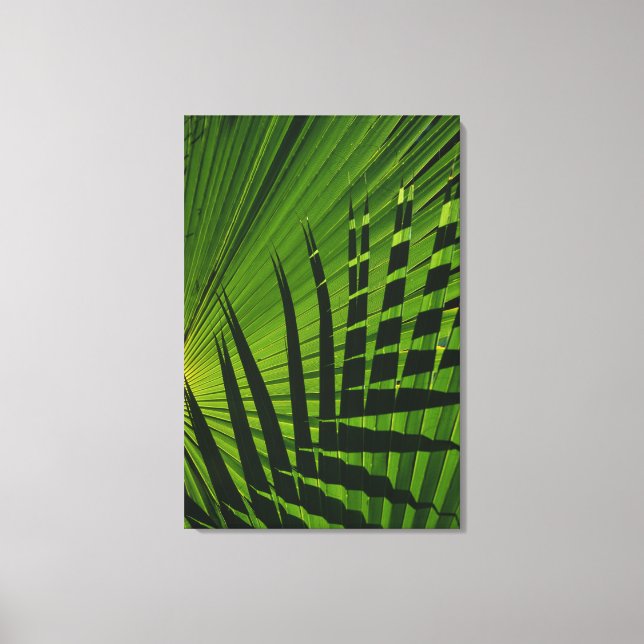 Impression Palm Frond sur toile (Recto)