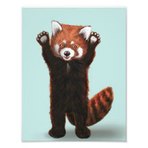 Impression Panda rouge
