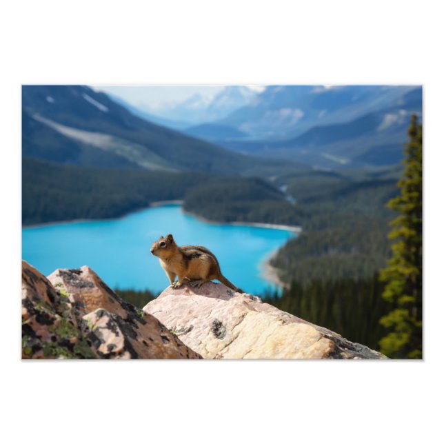 Impression photo (Devant)