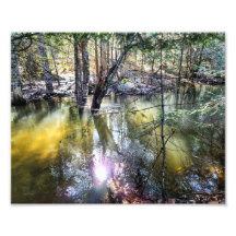 Impression photo 10 po x 8 po || Une Promenade Par