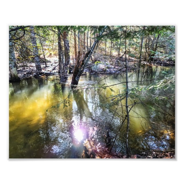 Impression photo 10 po x 8 po || Une Promenade Par (Devant)