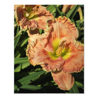 Impression Photo 11 po x 14 po