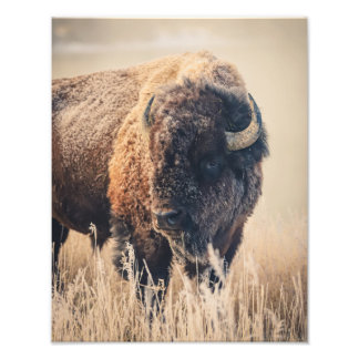 Impression Photo 11 x 14 Print - Frosty Morning