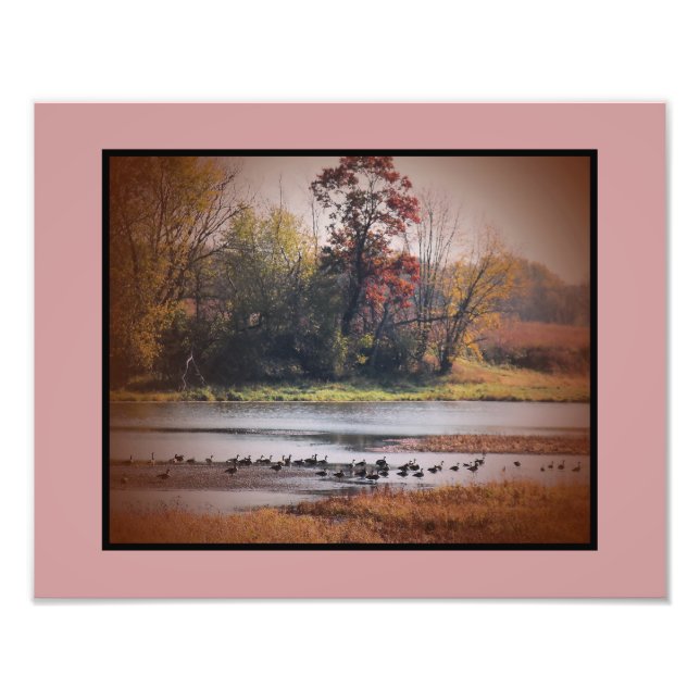 Impression photo 11x14 Oies du Canada à l'automne (Devant)