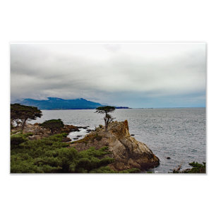 Impression Photo 17 Mile Drive