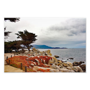 Impression Photo 17 Mile Drive