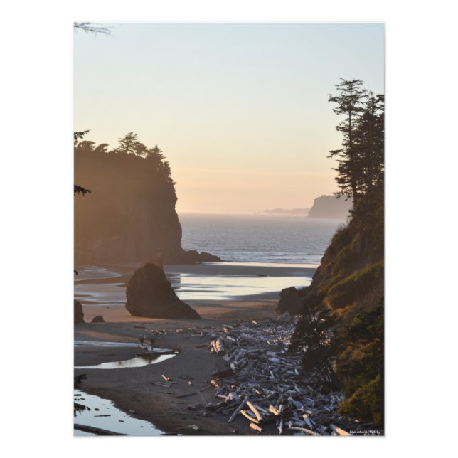 Impression Photo 18x24 Ruby Beach sur l'océan Pacifique (Devant)