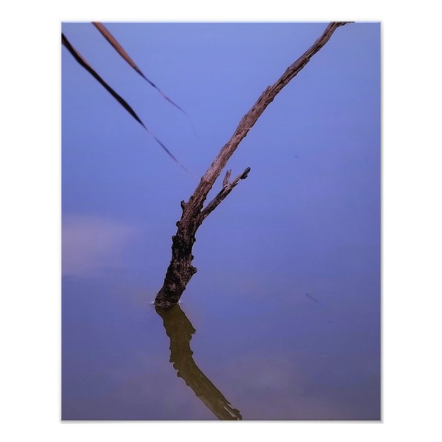 Impression Photo #1-Etang de Scamandre en Camargue.  (Devant)