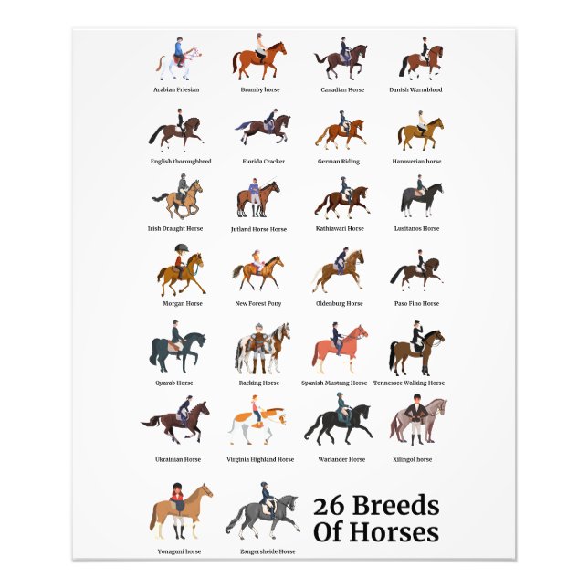 Impression Photo 26 races de chevaux (Devant)