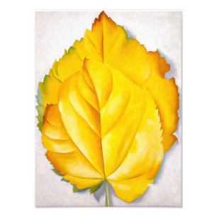 Impression Photo 2 Feuilles jaunes   Georgia O'Keeffe  