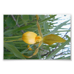 Impression photo 6x4