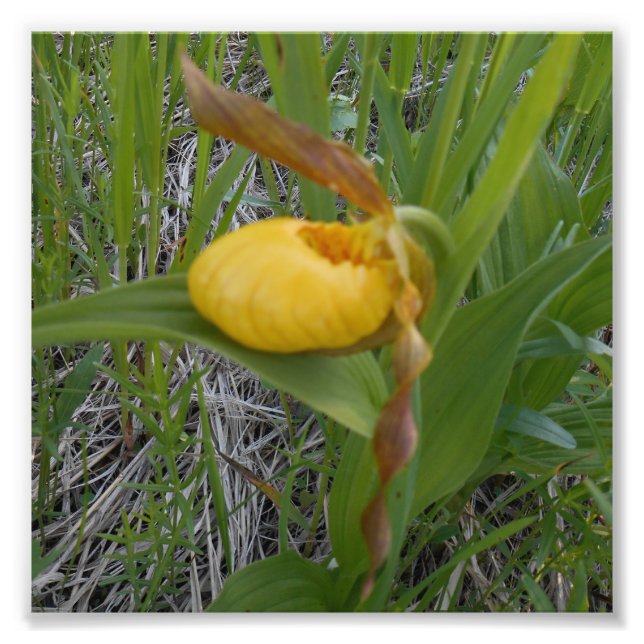 Impression photo 6x6 (Devant)