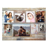 8 Photos de famille, grain de bois, nom et année D