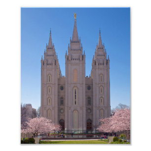 Impression Photo 8 X 10 Temple Salt Lake avec des arbres en fleurs 